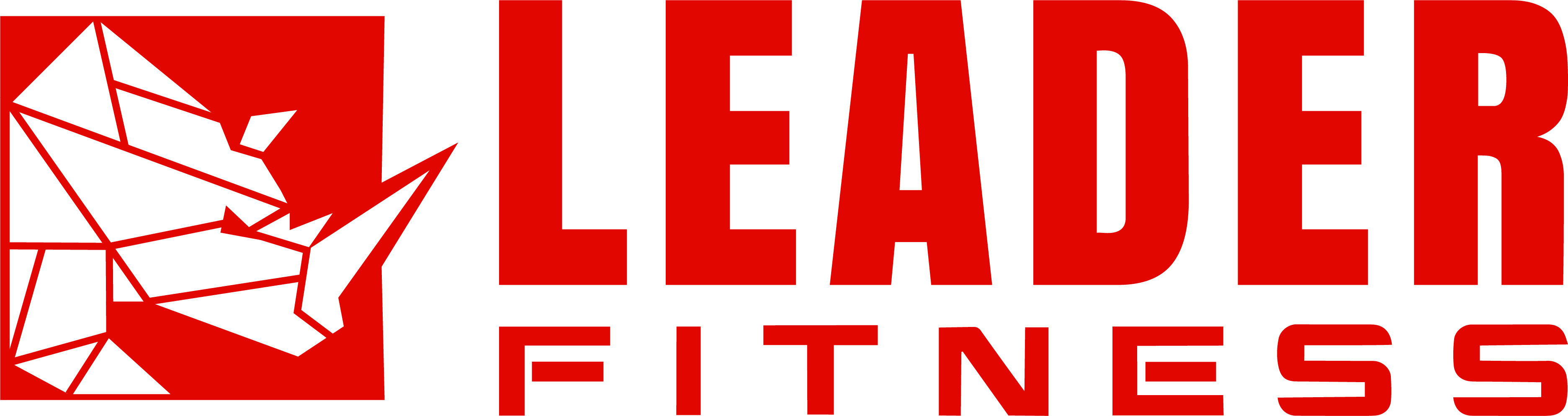 Leader Fitness